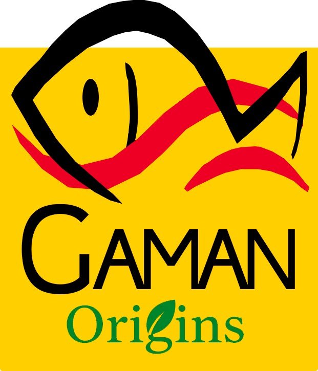 Gaman Origins